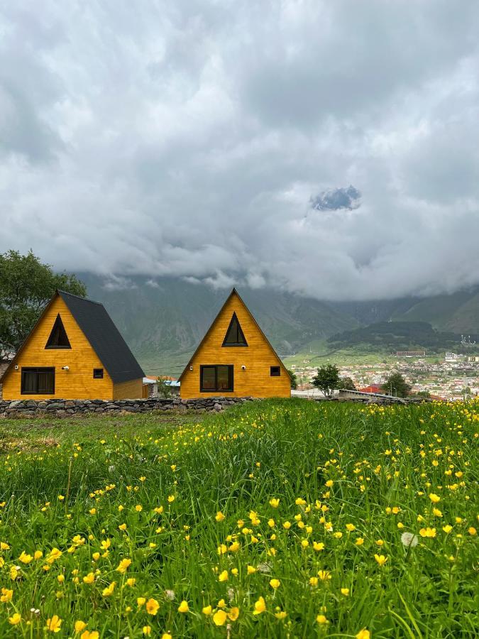 Pine Chalet Kazbegi Exterior foto
